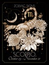 Vector illustration of zodiac signs in flowers. Scorpio in black and gold colors